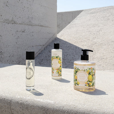 Jabón Líquido de Marsella Provence 500ml